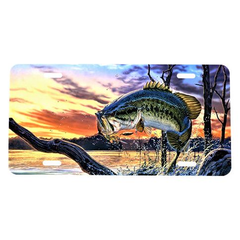 License Plate-Fishing